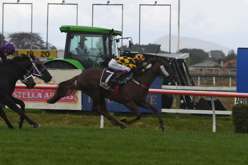 Saturday Win No.2 - Perfect Pazienza