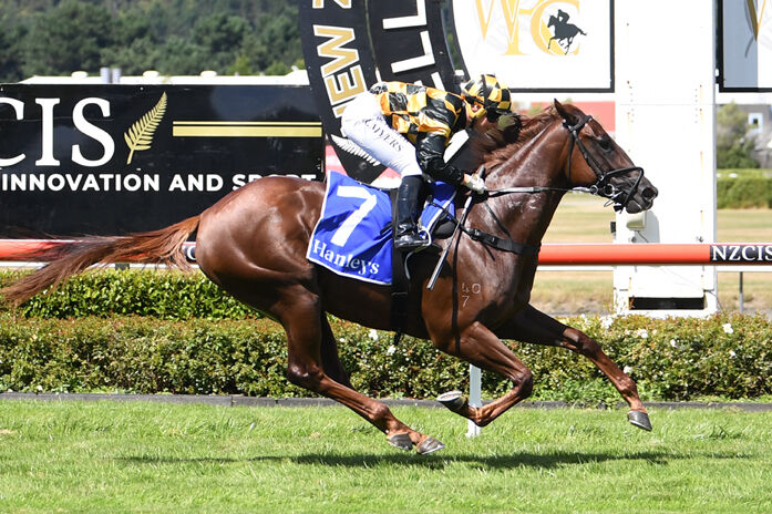 Pazienza Picture Perfect - Season Win 90