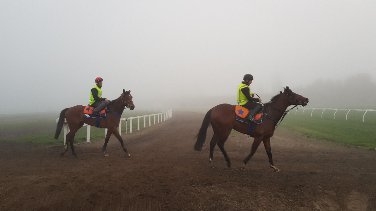 Riccarton Trackwork Highlights