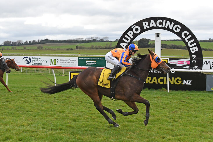Six Win Taupo - Win 4 Perfect Scenario Impressive