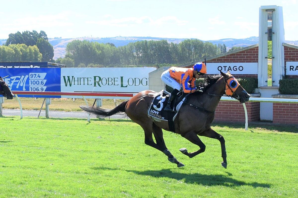 Perfect result in Dunedin Feature