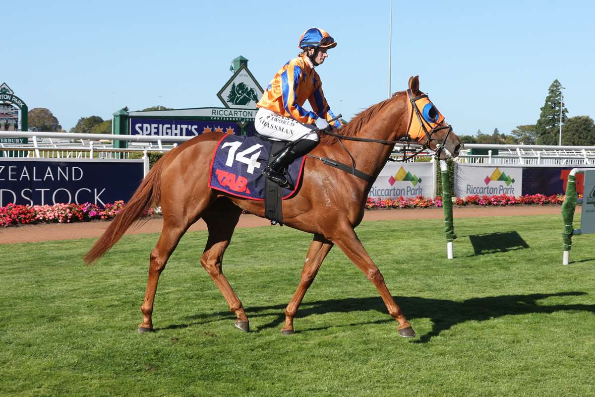 Te Akau Fillies Target Warstep Stakes