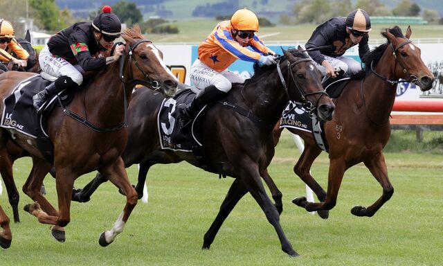 6 WINS - 24 HOURS: Petite Perfection