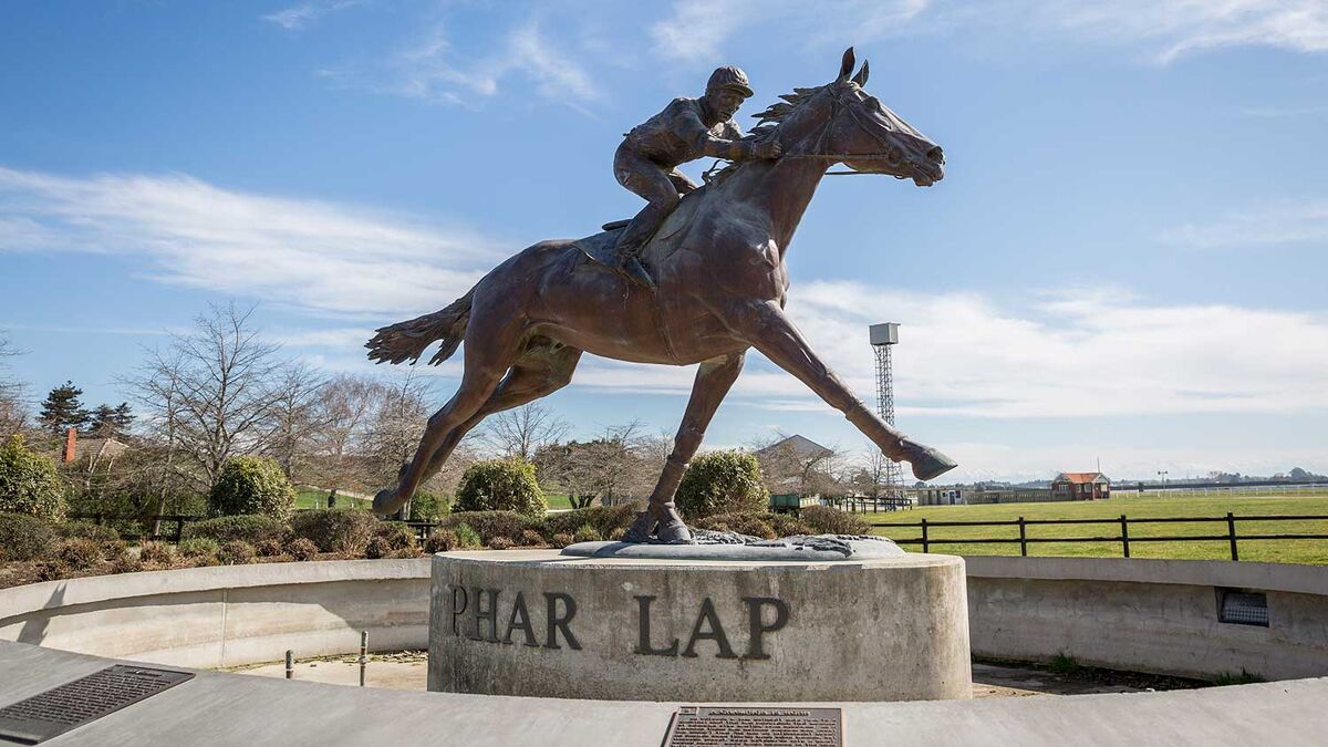 Te Akau Timaru Midweek Preview