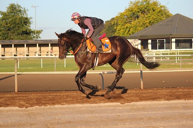 Te Akau Saturday Trackwork