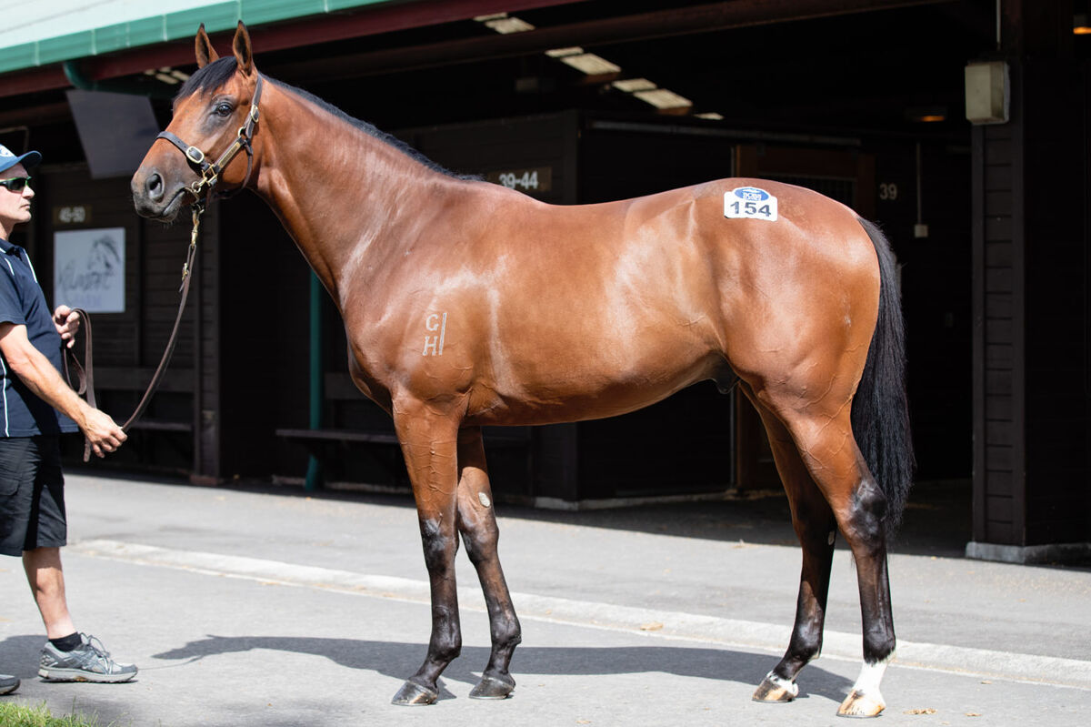 Ready To Run Colt Syndicate Update