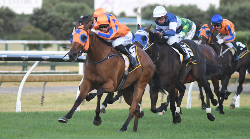 Te Akau Also Claims Karaka Million 3YO Classic