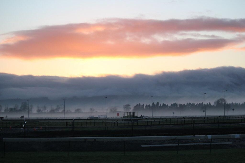 Te Akau Thursday Trackwork