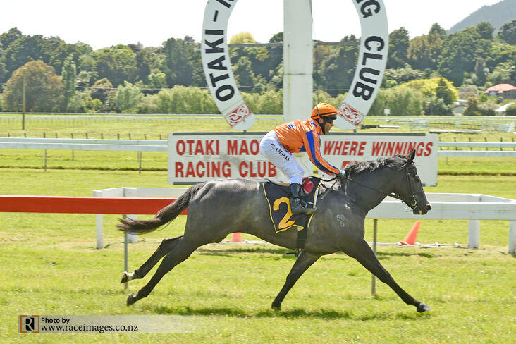 Te Akau Otaki Thursday Preview