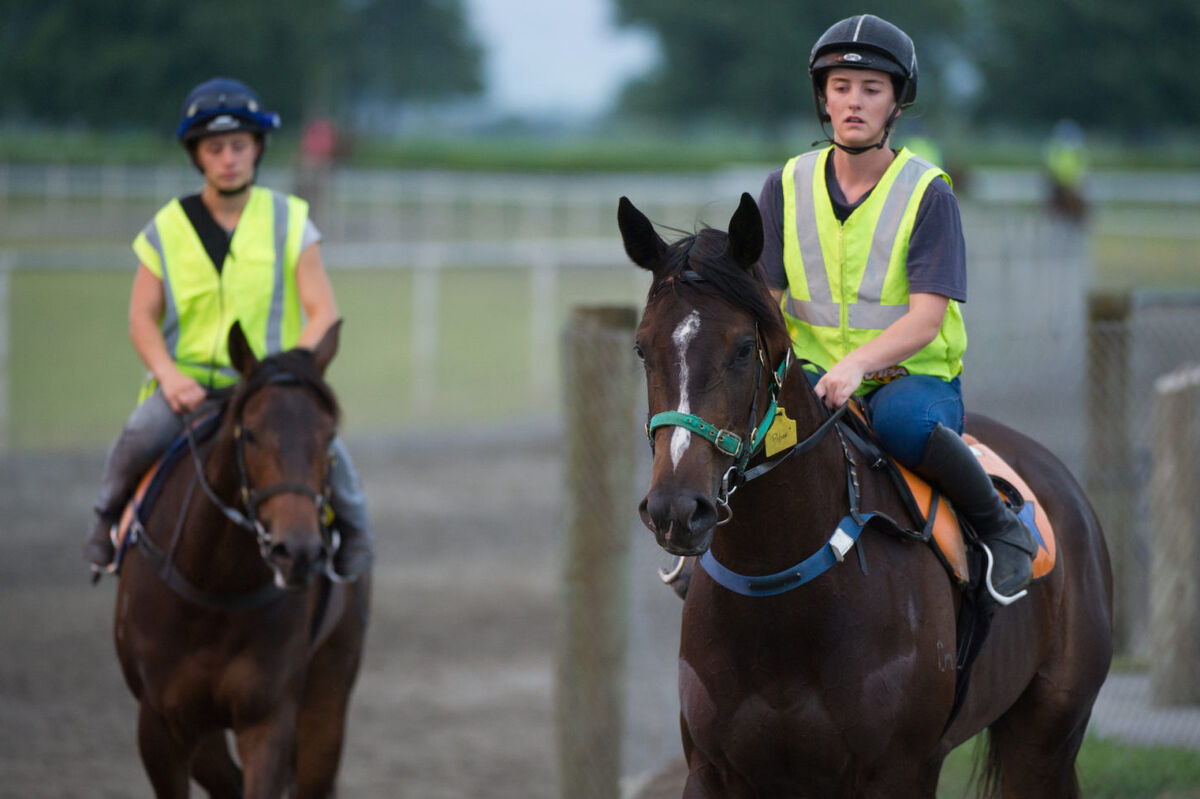 Te Akau Weekend Trackwork