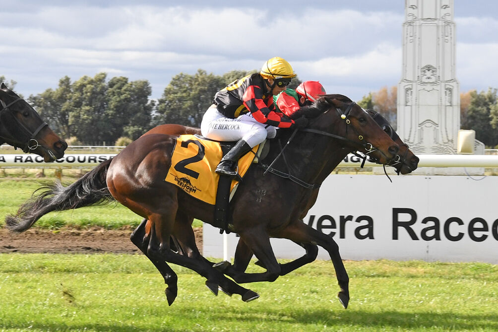 Te Akau NZ Saturday Double - Win No.1 Pisco Sour