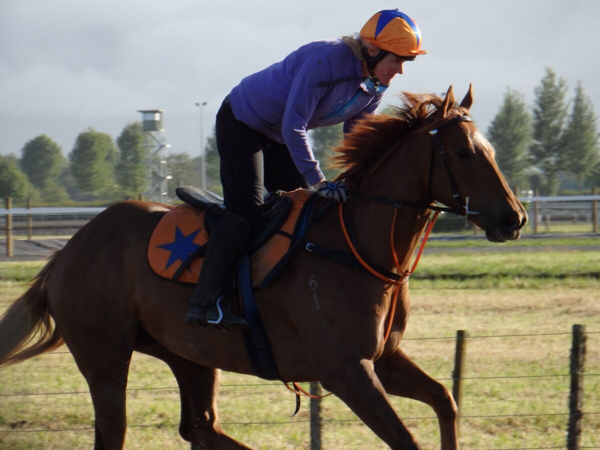 Te Akau Weekend Trackwork