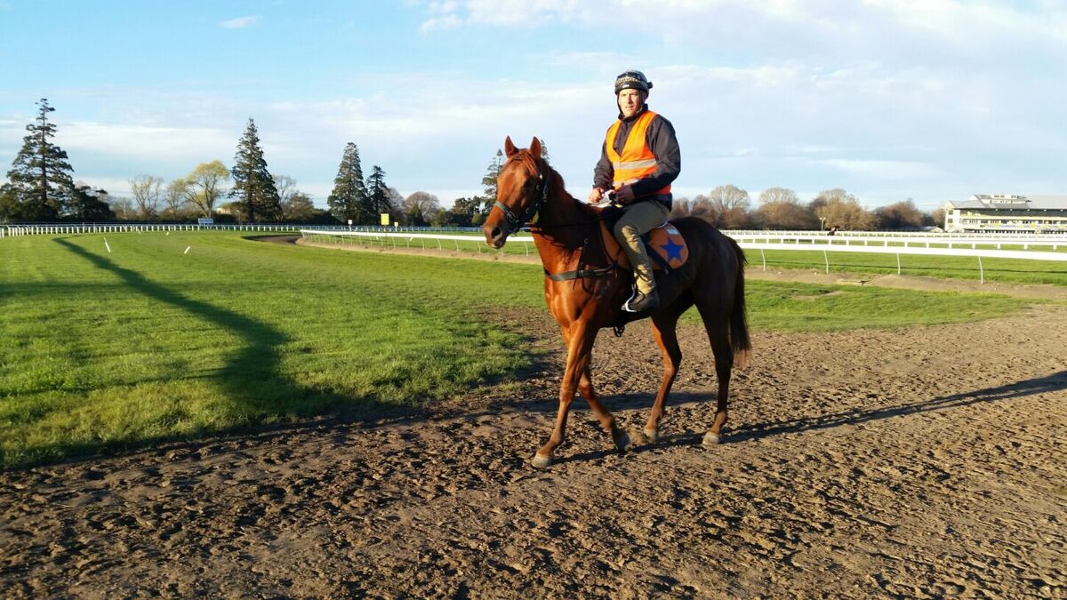Te Akau Thursday Trackwork