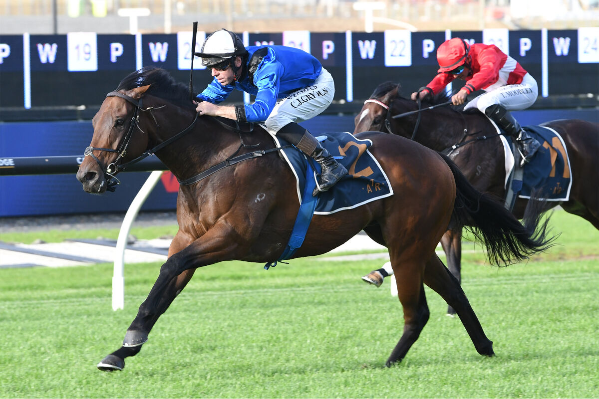 Ellerslie Double - Pokuru Gold's Winning Vein