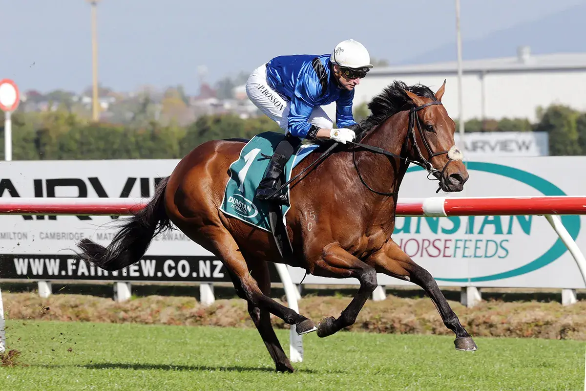 Pokuru Gold Aims for Four