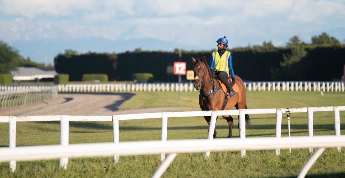 Te Akau Tuesday Trackwork