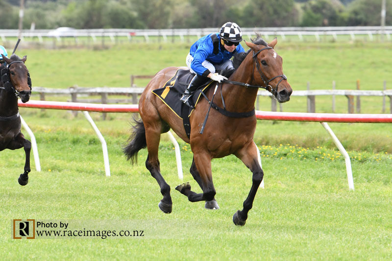 Two Tauherenikau Wins - No.1 Pokuru's Gift