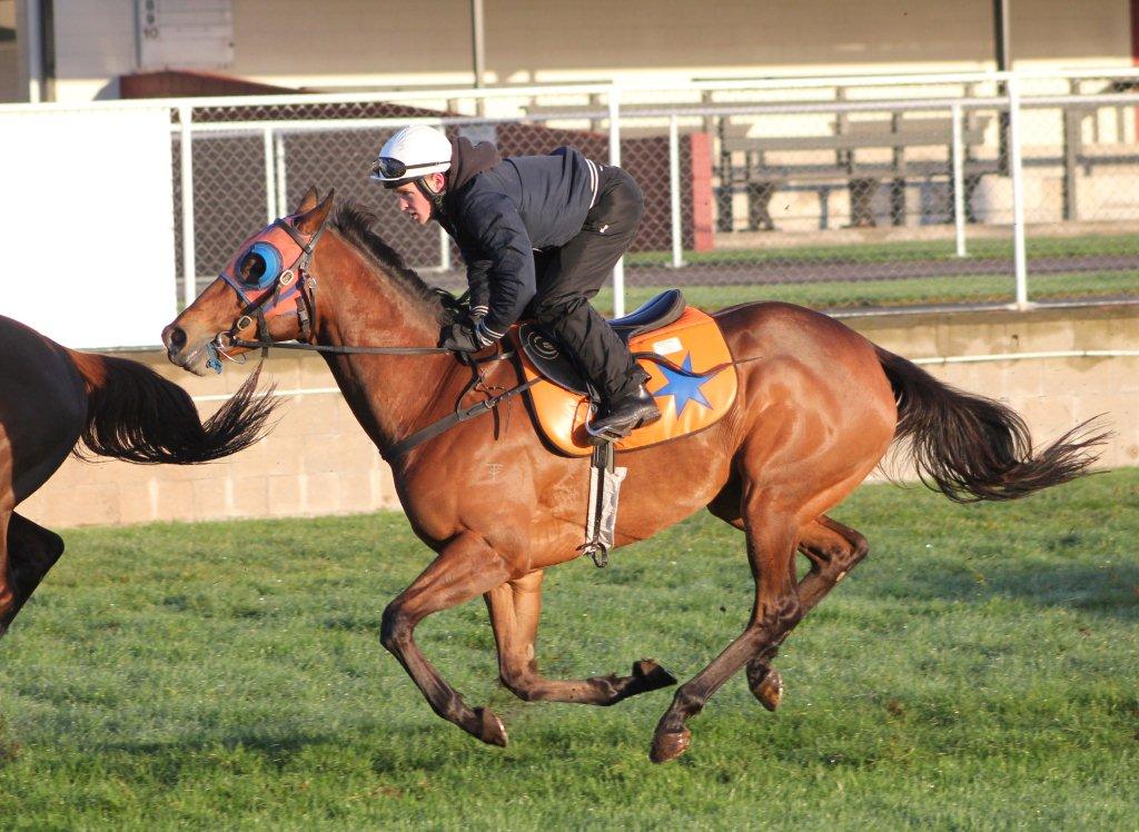Te Akau NZ Weekend Preview