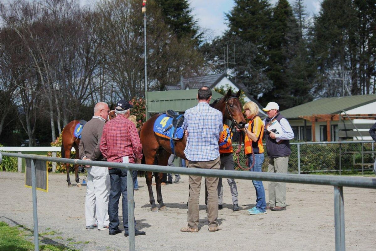 Te Akau Trials' Report