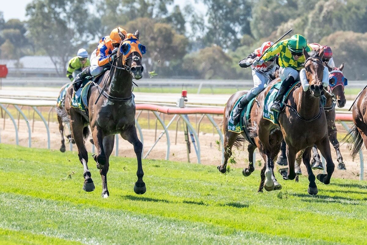 5 WIN SATURDAY: Precambrian Perfect