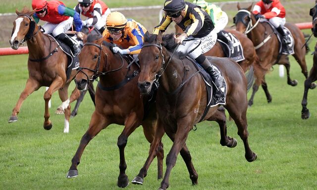 WINNER: Plenty of Passion & Pride