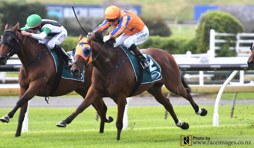 Te Akau TV Weekend Preview