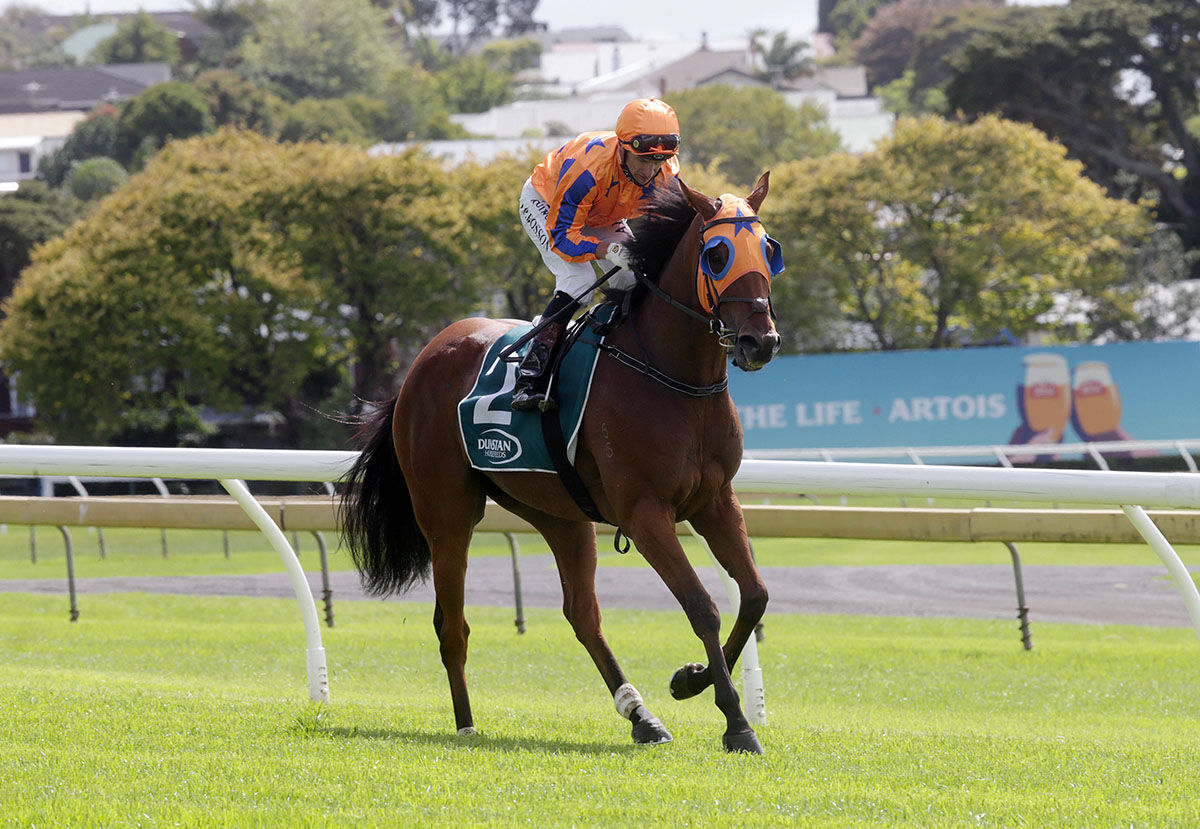 Bosson Chasing Boxing Day Prize