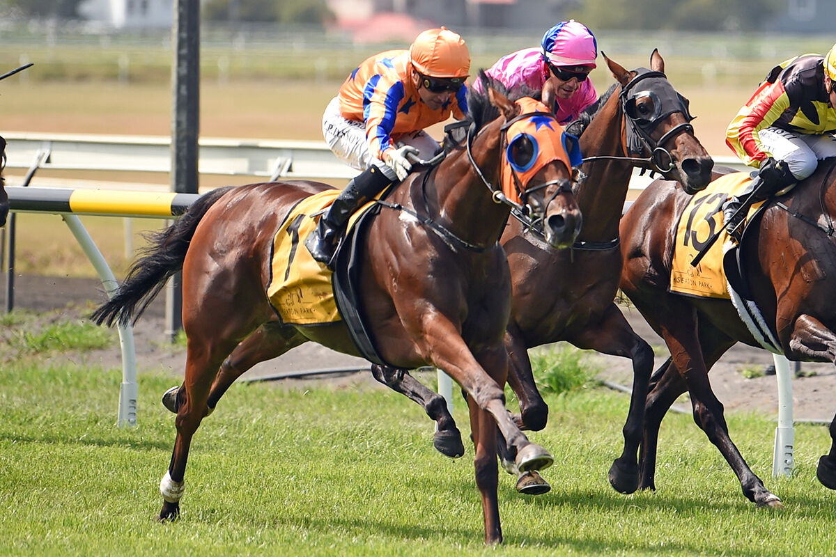 Trans Tasman Assault for Te Akau
