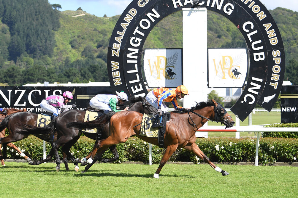 Prise De Fer Auckland Cup Farewell