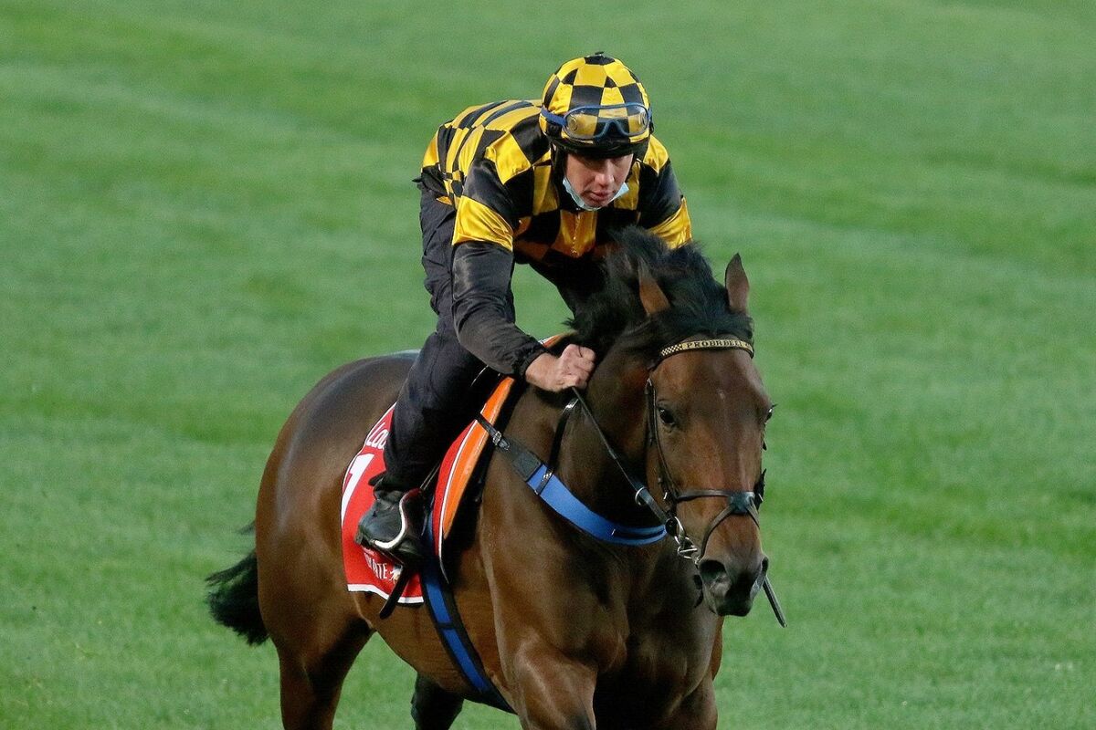 McEvoy Hunts Grand Slam with Probabeel