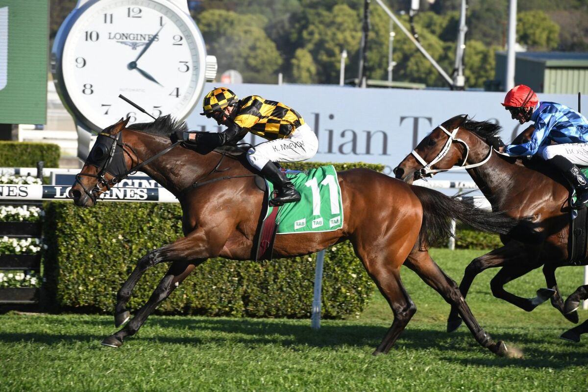 Super Saturday - Win No.4 - Probabeel Grp 1 Epsom Perfection