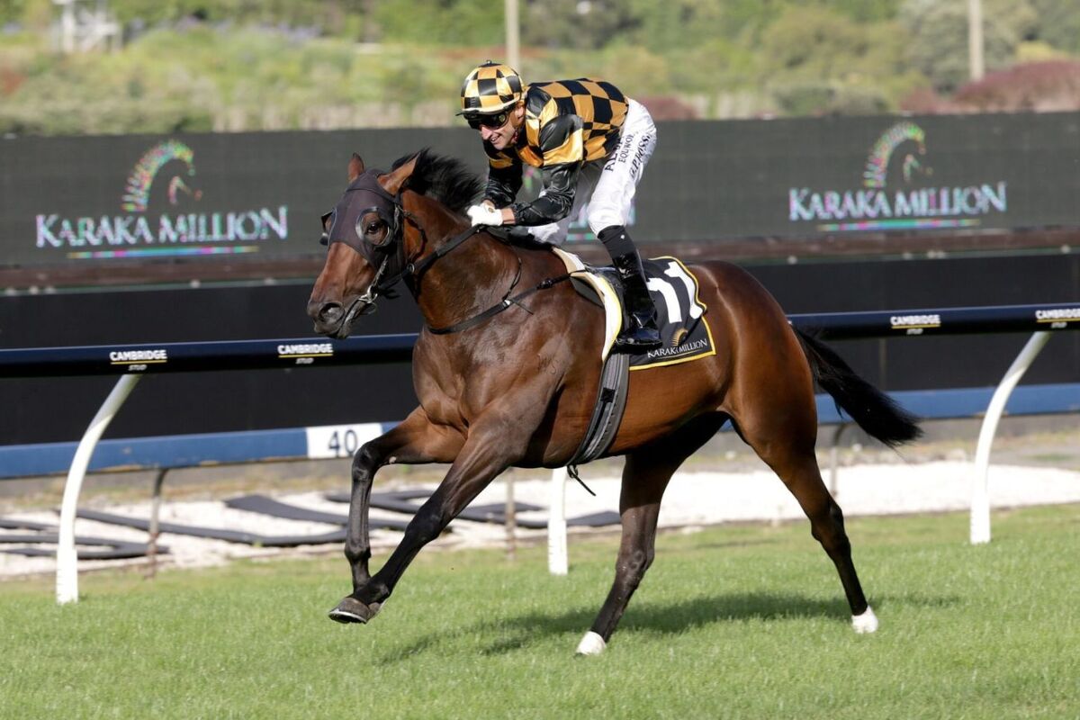 Probabeel Impresses at Trials