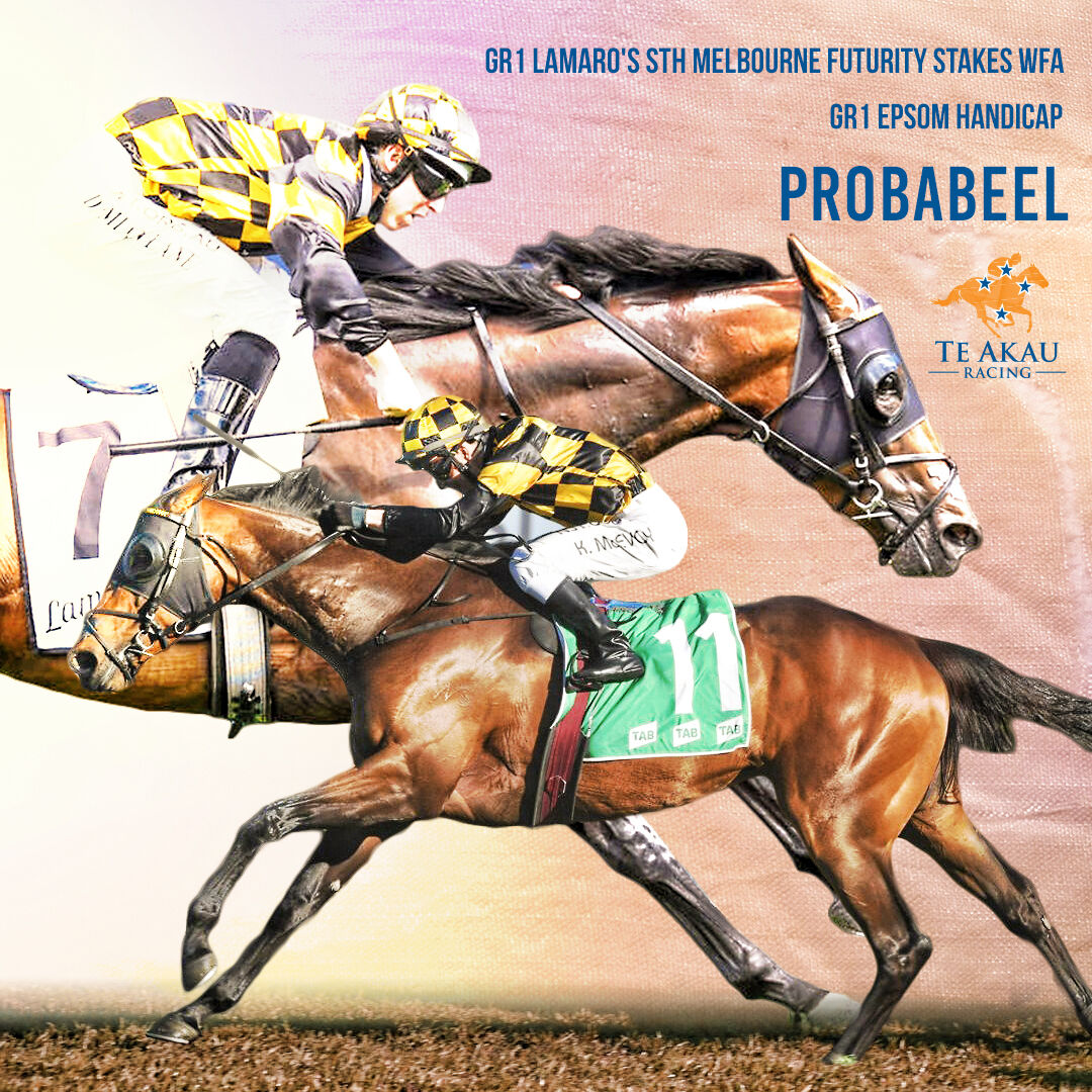 G1 Season Reflections - Probabeel