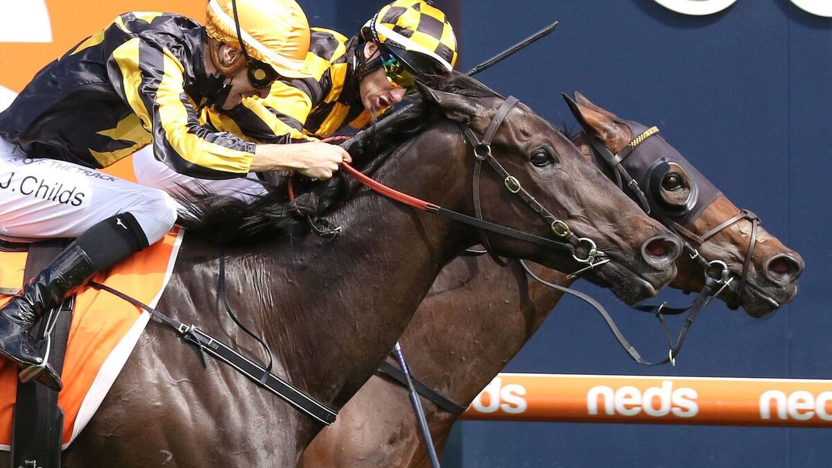 Probabeel Stuns Zaaki - Cox Plate Beckons
