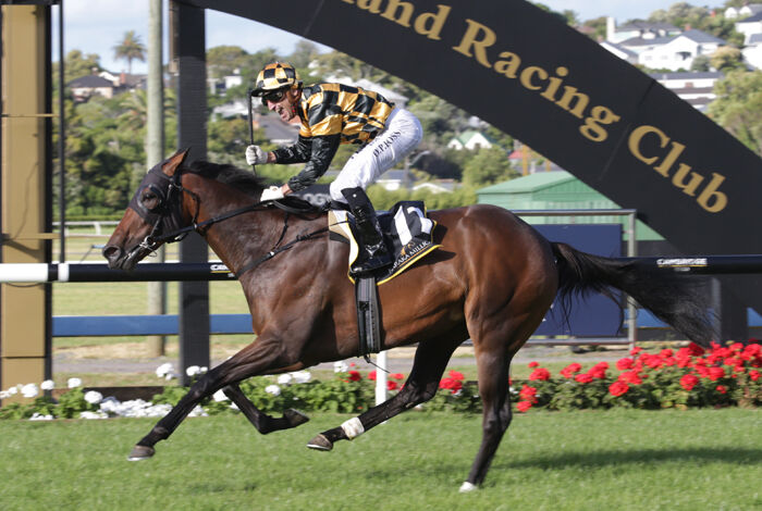 Karaka Million Winner to Trial