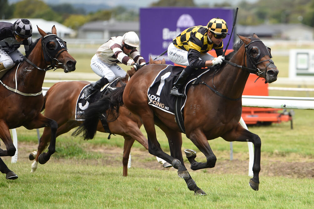 Two Runners, Two Winners - Probabeel Perfect