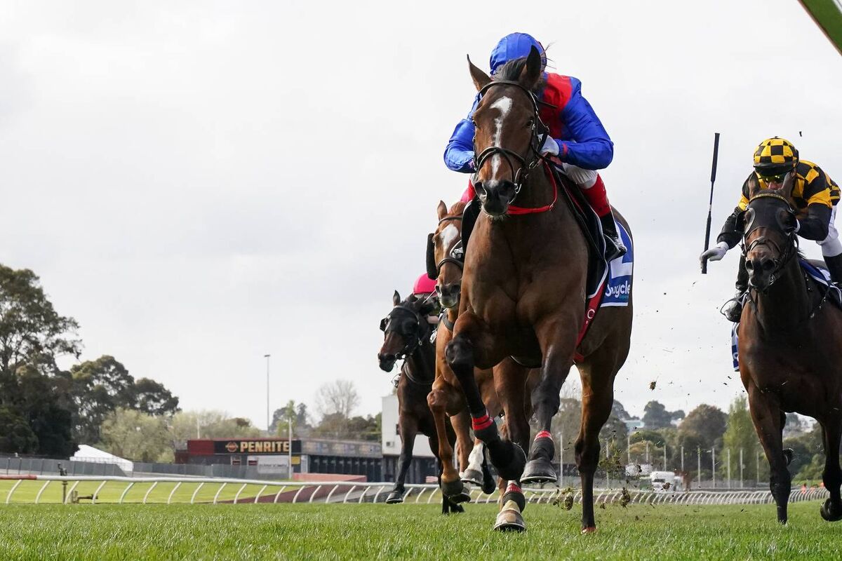 Probabeel Faces Australian Star Again