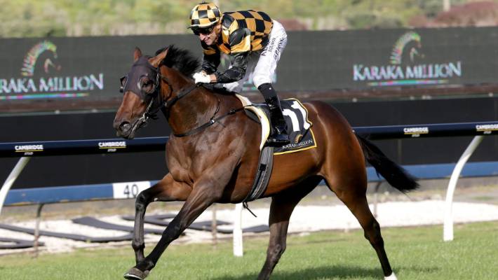 We Need Your Vote - Ellerslie's Outstanding Performance Of The Year