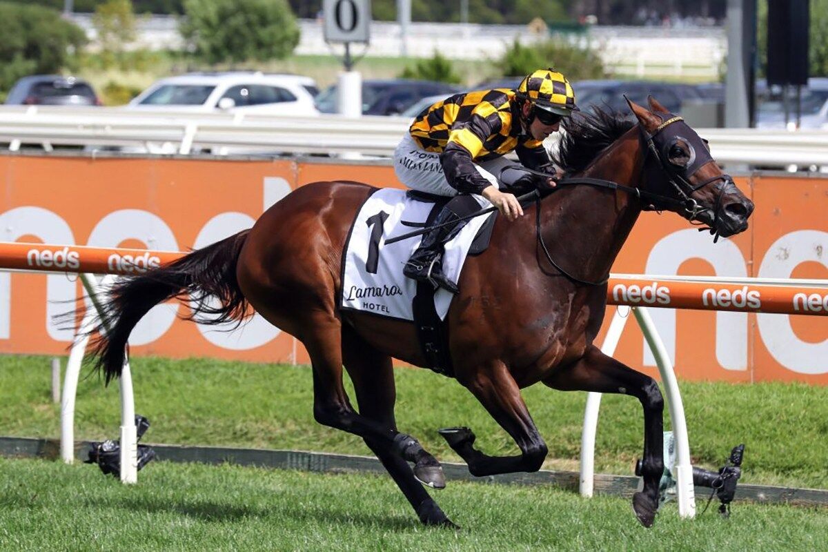 Probabeel Faces a Star Studded Line-up in Futurity