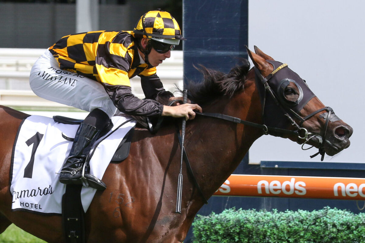Probabeel Caulfield Grp 3 Perfect