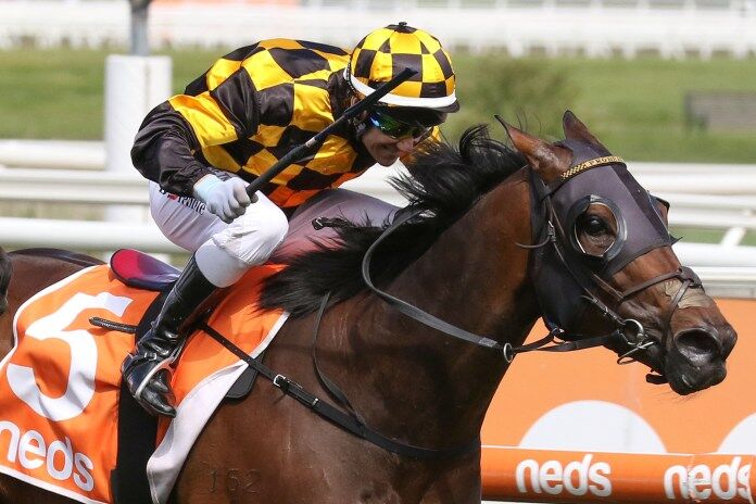 Cracking Melbourne Results for Te Akau