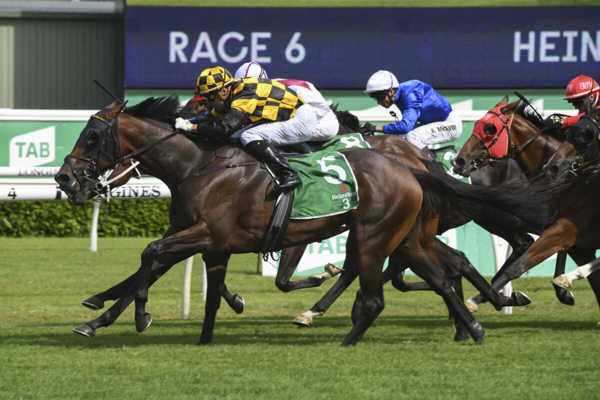 Probabeel Beats Funstar in Sydney Group 1
