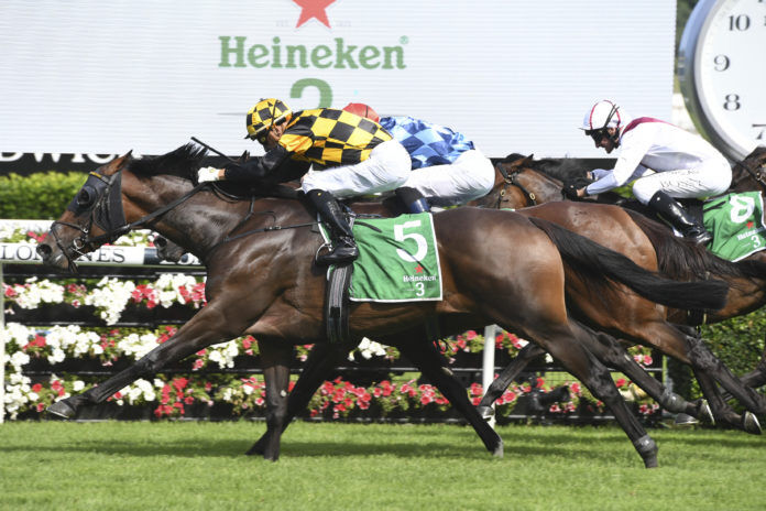 Te Akau Stars Step Out at Randwick