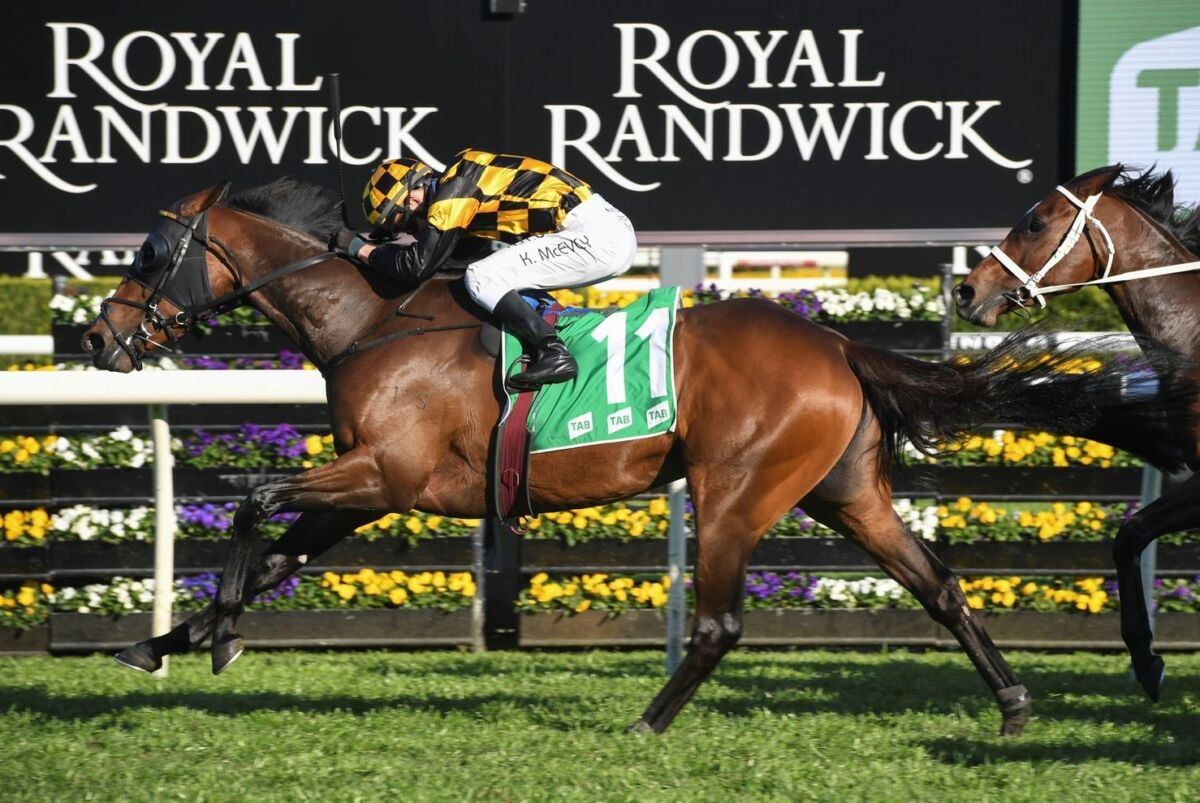 Probabeel Set for Melbourne Opener