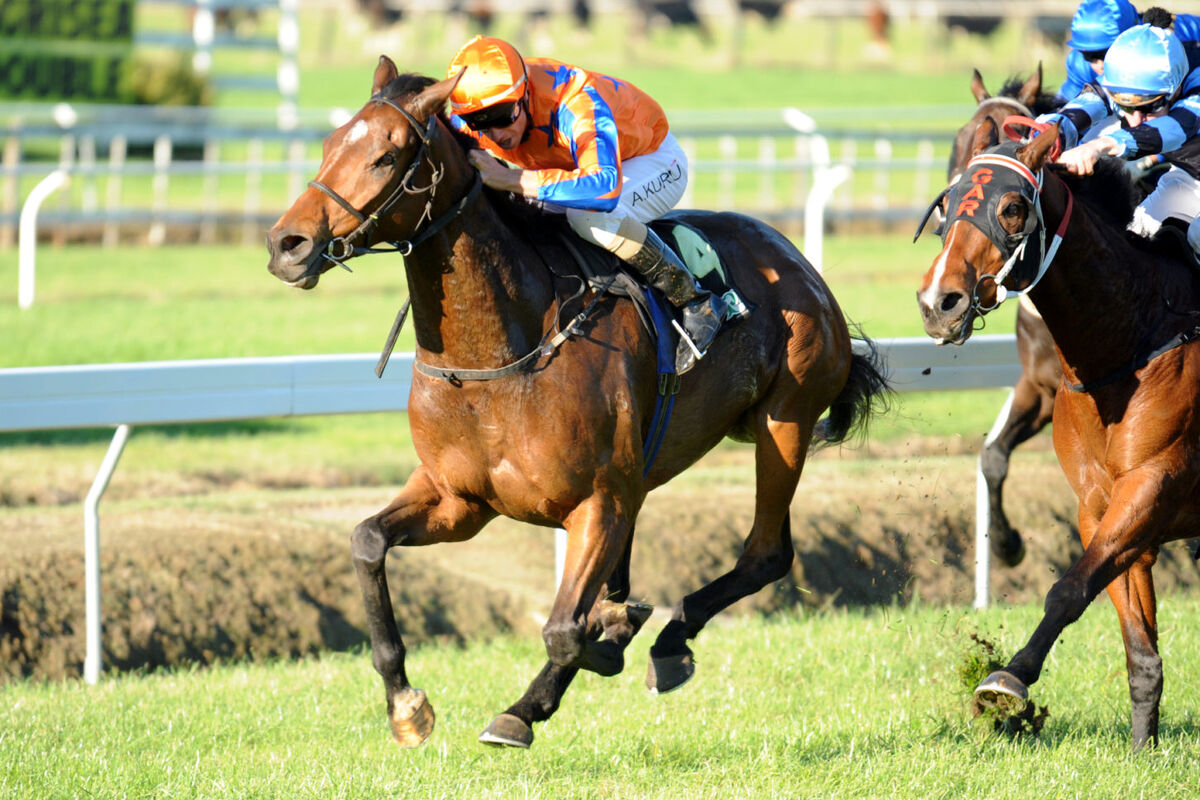 Te Akau Wins on Te Akau Day