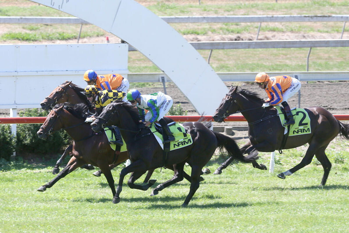 Pukekohe Group Trial