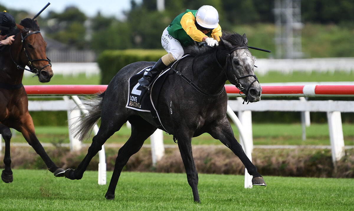 5 Win Saturday - Puketiro Just Perfect