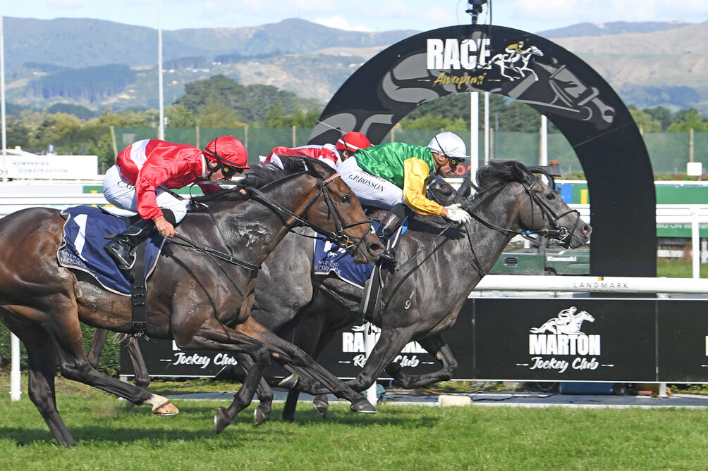 Puketiro Delivers Awapuni Double