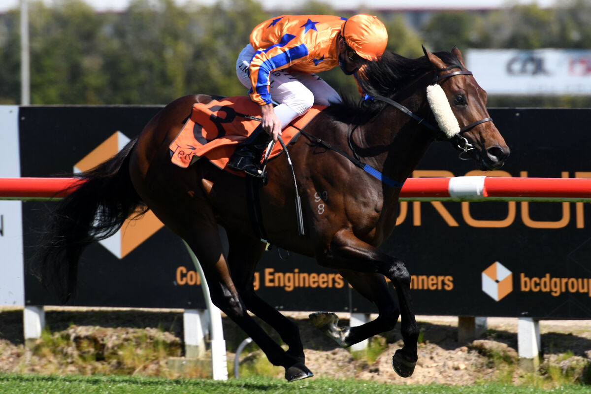 Pure Imagination Perfect on Debut