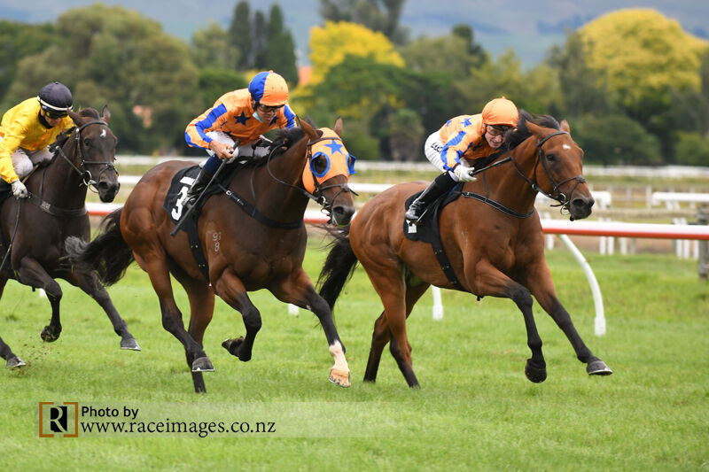 Pure Imagination Makes a Hastings Treble